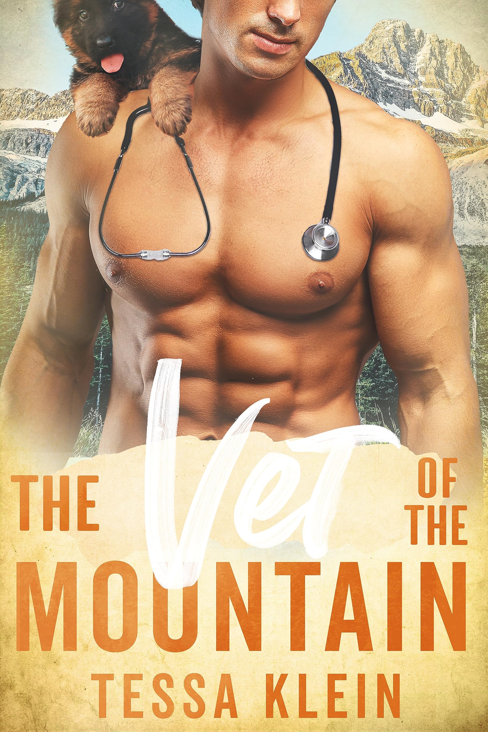 The Vet of the Mountain (Mountain Men of Whispering Winds, #5)