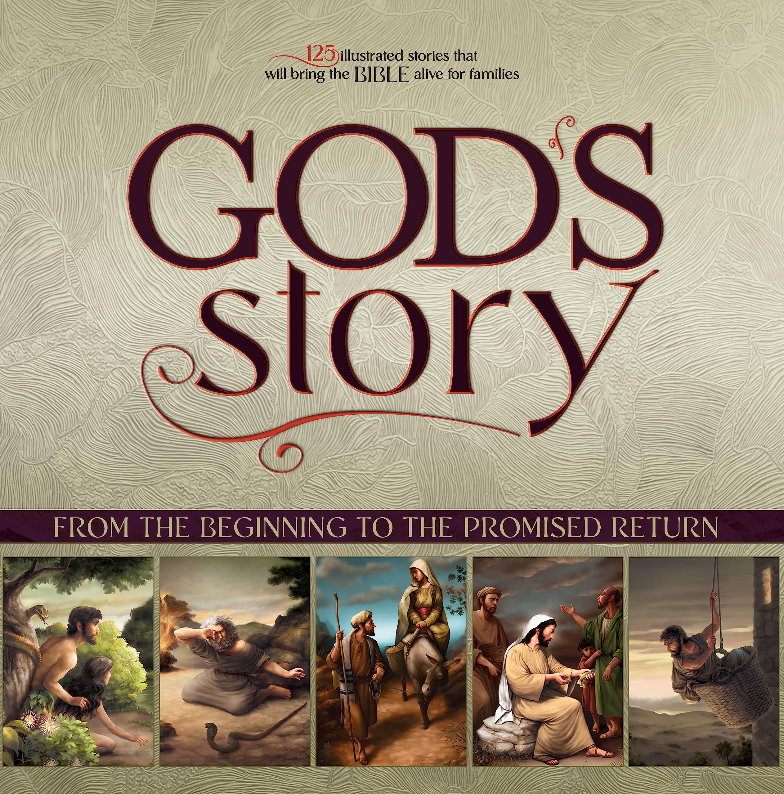 God's Story: From the Beginning to the Promised Return (Paperback)