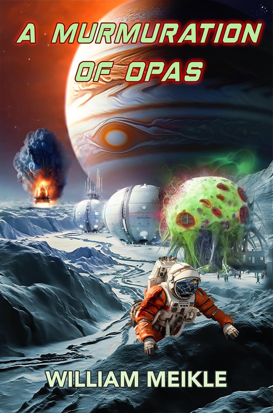 A Murmuration of Opas (Kindle Edition)