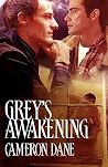 Grey's Awakening