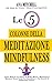 Le 5 Colonne Della Meditazi...
