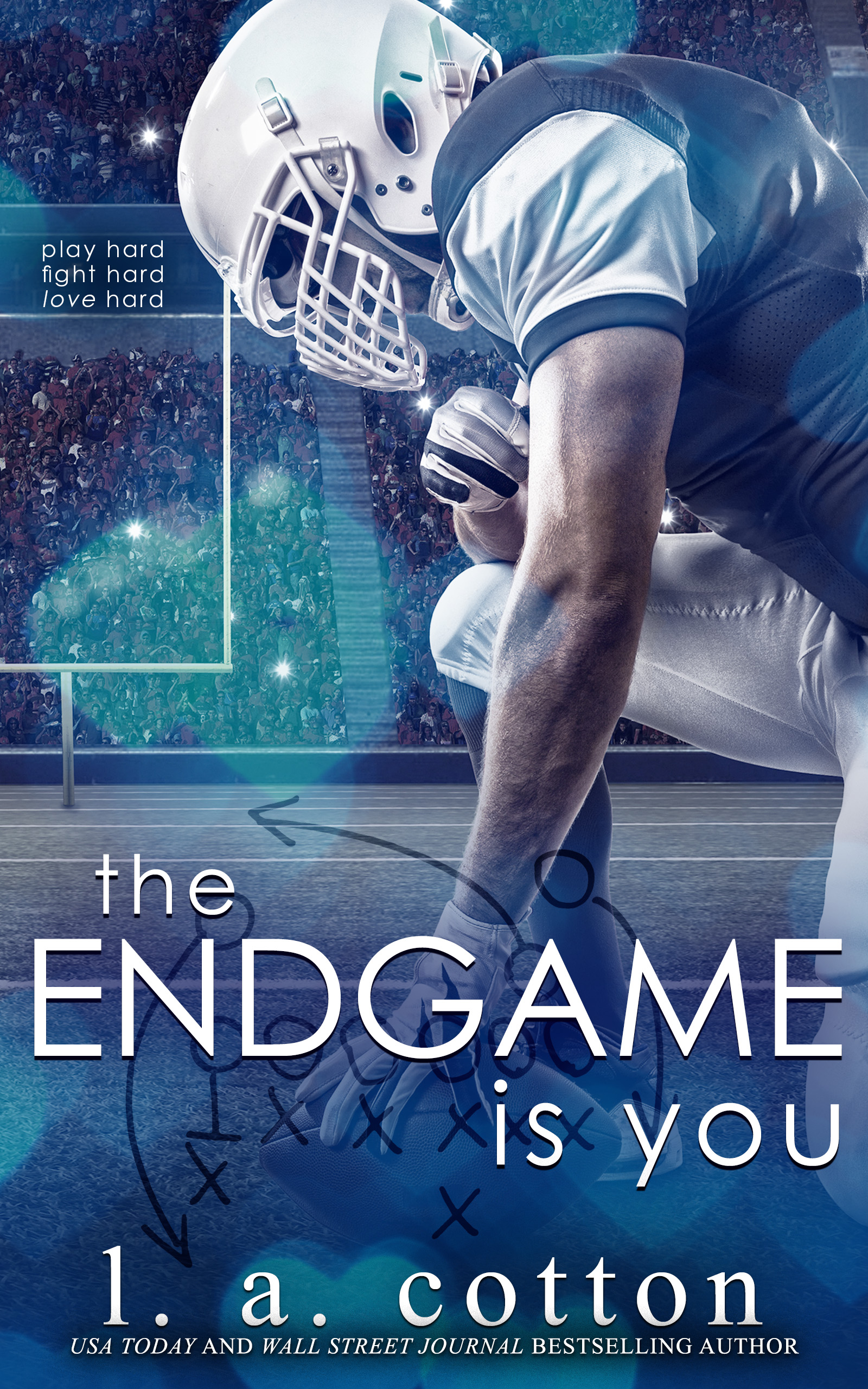 The Endgame Is You (Rixon Raiders, #4)