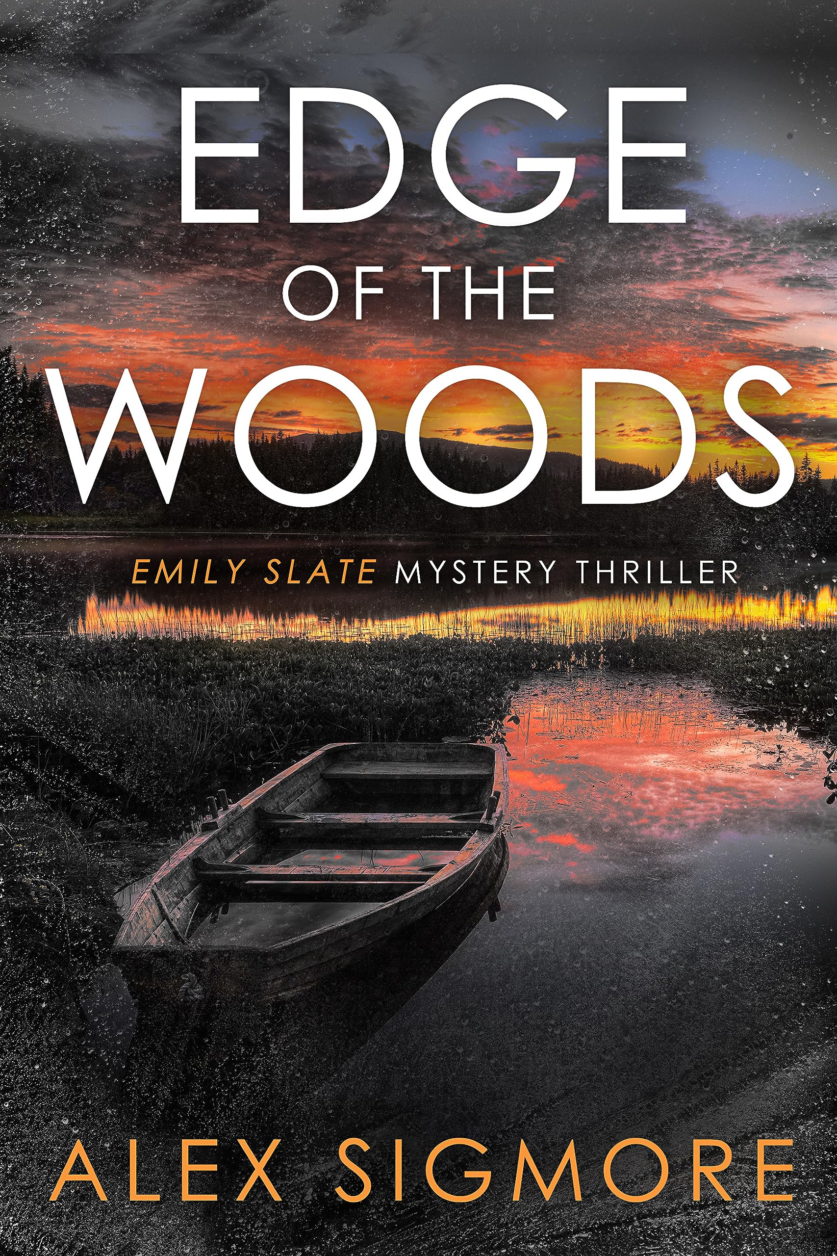 Edge of the Woods (Emily Slate FBI Mystery #12)