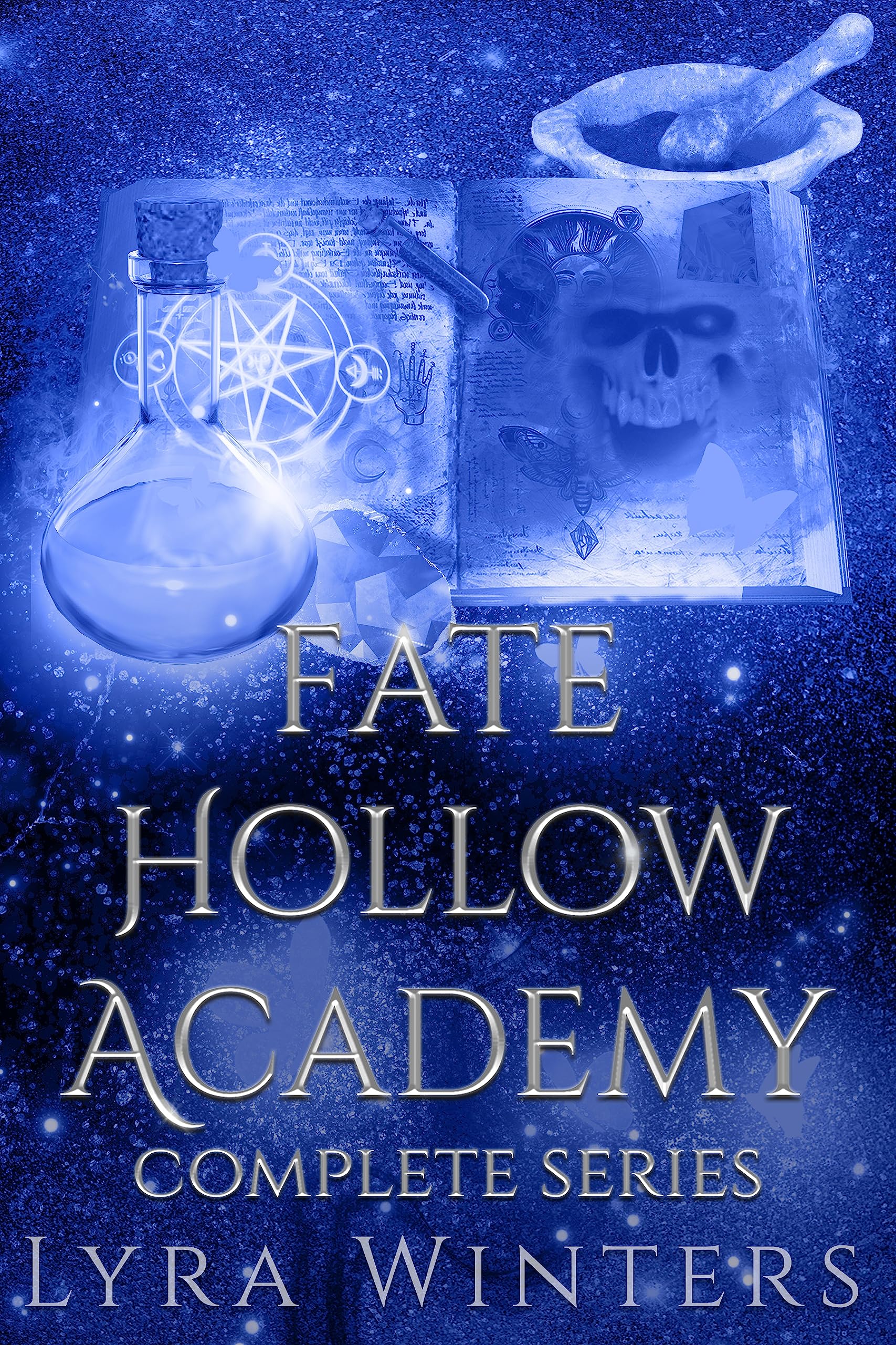 Fate Hollow Academy (Kindle Edition)