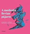 A mediodía llovía...