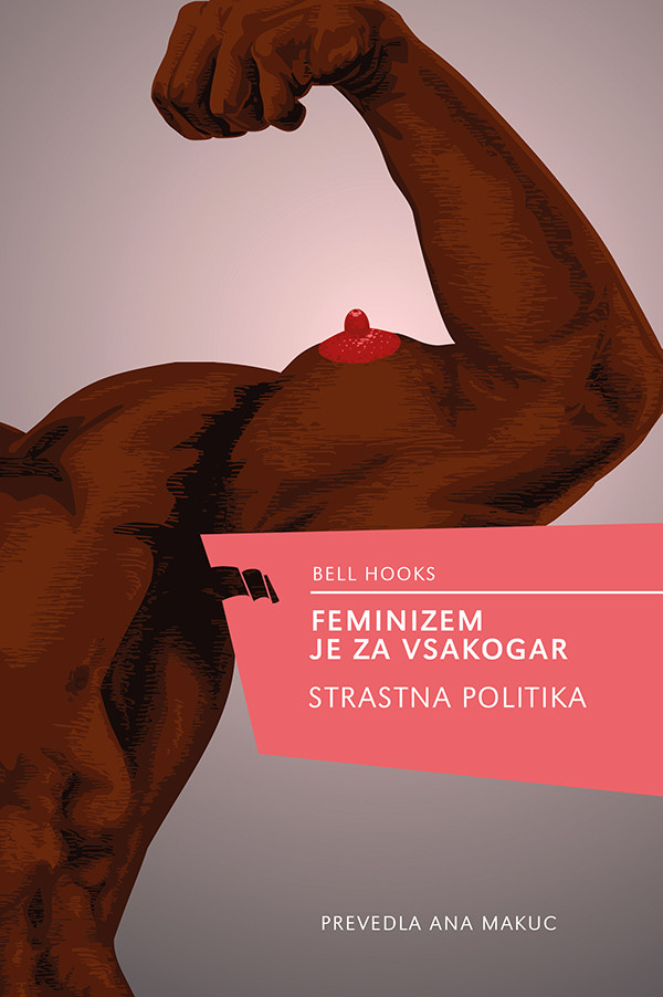 Feminizem je za vsakogar : Strastna politika