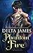 Phantom Fire (Winged Warriors, #1)