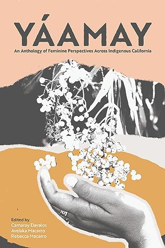 Yáamay : An Anthology of Feminine Perspectives Across Indigenous California (Paperback)