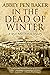 IN THE DEAD OF WINTER a gripping historical crime novel by Abbey Pen Baker