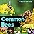Common Bees of California by Theodore Rose