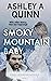 Smoky Mountain Baby (Foggy Mountain Intrigue Book 2)
