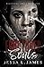 Fractured Souls (Beautiful ...
