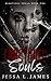 Fractured Souls by Jessa L. James