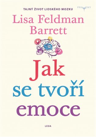 Jak se tvoří emoce: Lidský mozek pracuje jinak, než jsme mysleli