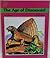 The Age of Dinosaurs! (Bright Idea Book)