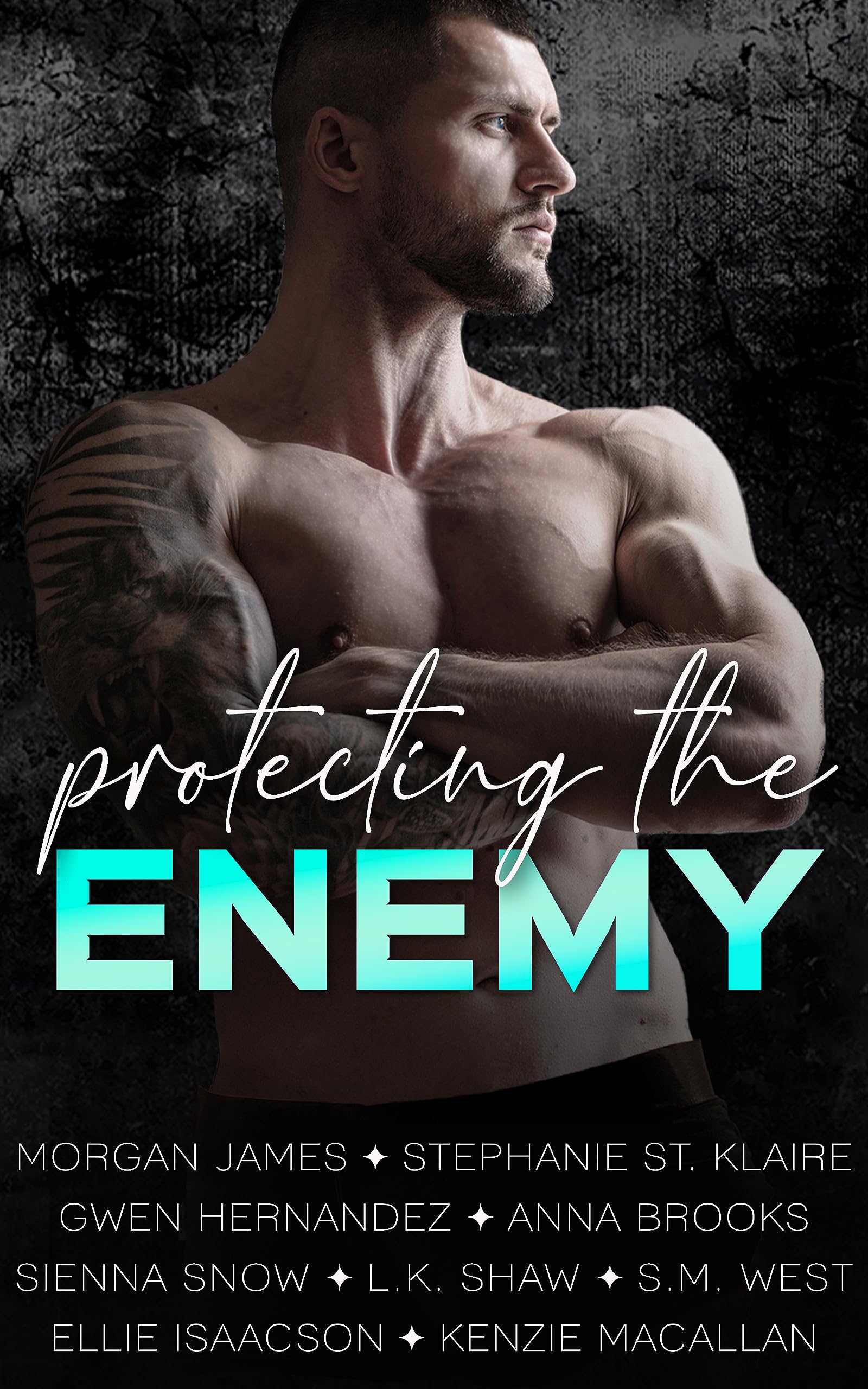 Protecting the Enemy: A Romantic Suspense Anthology (Kindle Edition)