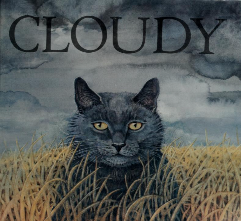 Cloudy (Hardcover)