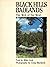 Black Hills Badlands: the Web of the West