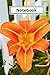 Orange Day Lily Notebook by Will Kelly