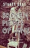 Broken Pieces of ...