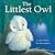The Littlest Owl