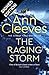 The Raging Storm (Two Rivers #3)