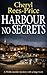 Harbour No Secrets: A Welsh murder mystery with a huge twist (DI Winter Meadows)