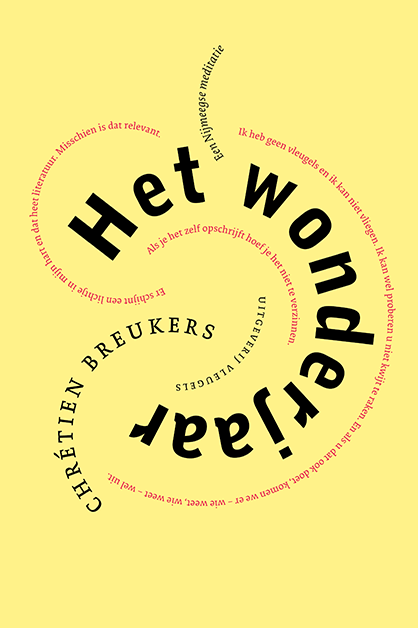 Het wonderjaar, een Nijmeegse meditatie