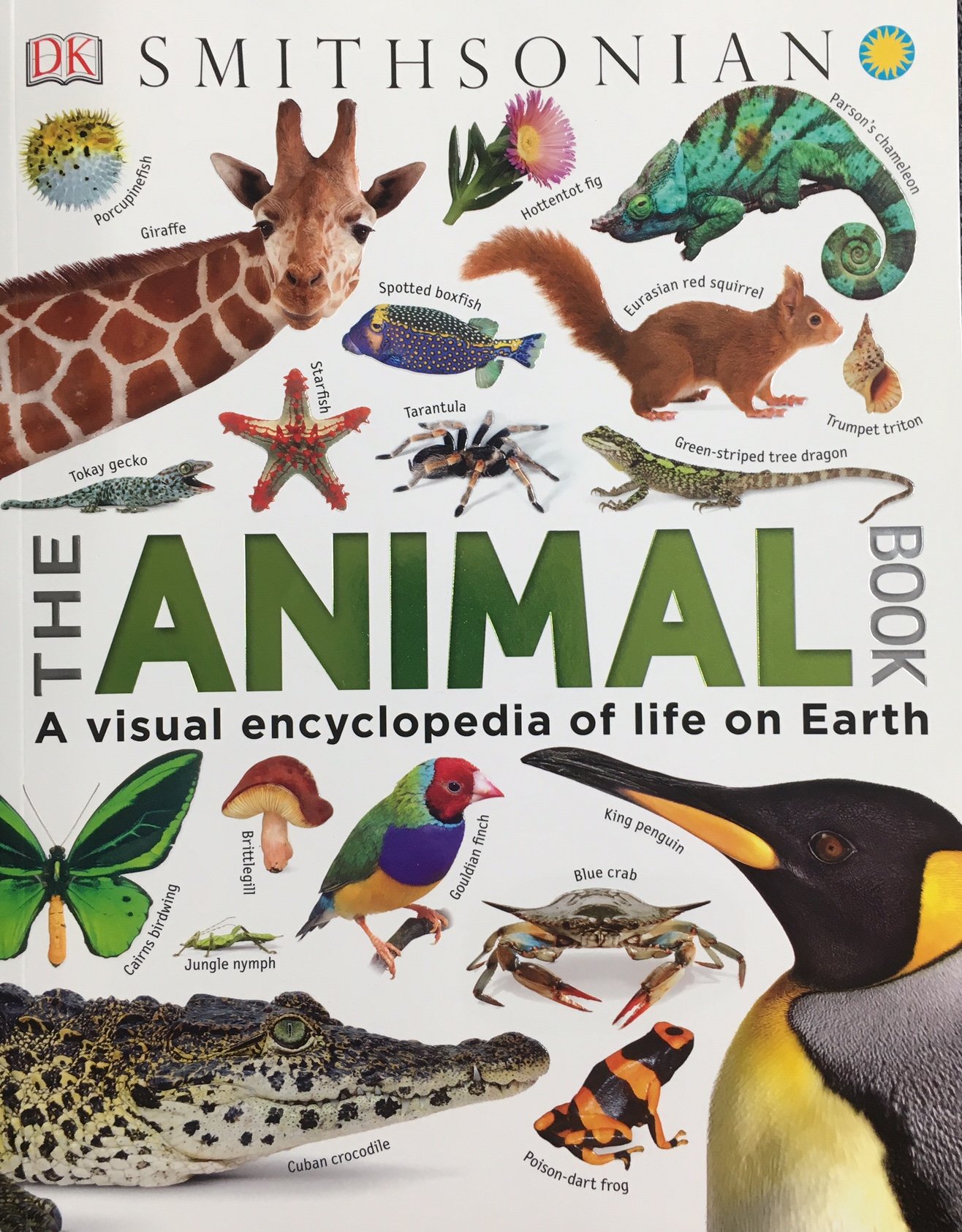 The Animal Book (Unknown Binding)