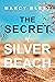 The Secret of Silver Beach ...