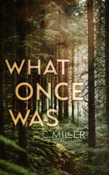 What Once Was (From the Ashes, #1)