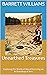 Unearthed Treasures: Exploring the World of Metal Detecting on Archaeological Sites (Treasures Beneath: Unveiling the World of Metal Detecting)
