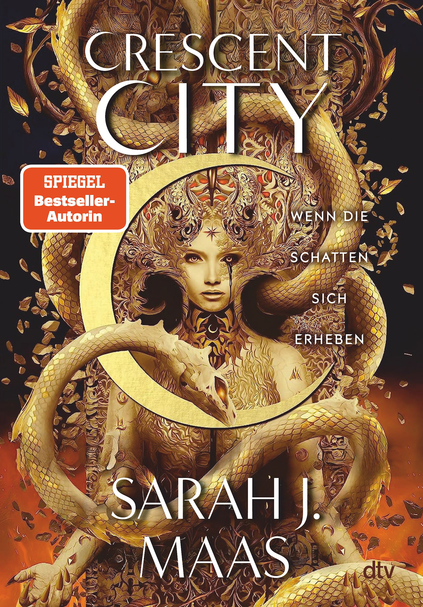 Wenn die Schatten sich erheben (Crescent City, #3)