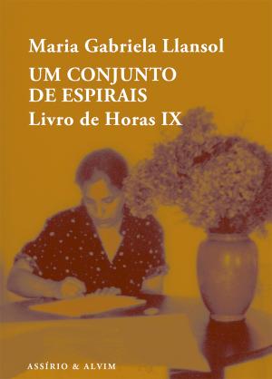 Um Conjunto de Espirais: Livro das Horas, IX (Paperback)