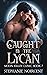 Caught by the Lycan (Moon V...