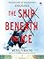 The Ship Beneath the Ice: The Discovery of Shackleton's Endurance