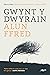 Gwynt y Dwyrain: Enillydd Gwobr Goffa Daniel Owen 2023 (Welsh Edition)