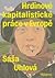 Hrdinové kapitalistické prá...