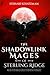 The Shadowlink Mages of Sterling Ridge