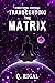 VIBRATIONAL ESSENCE: Transcending The Matrix