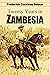 Twenty Years in Zambesia