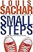Small Steps by Louis Sachar (January 08,2008)