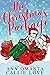 The Christmas Package by Ann Omasta