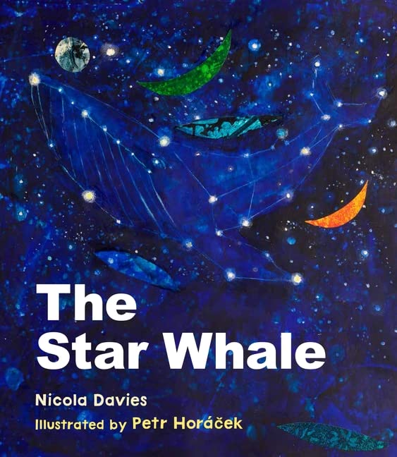 The Star Whale (Hardcover)