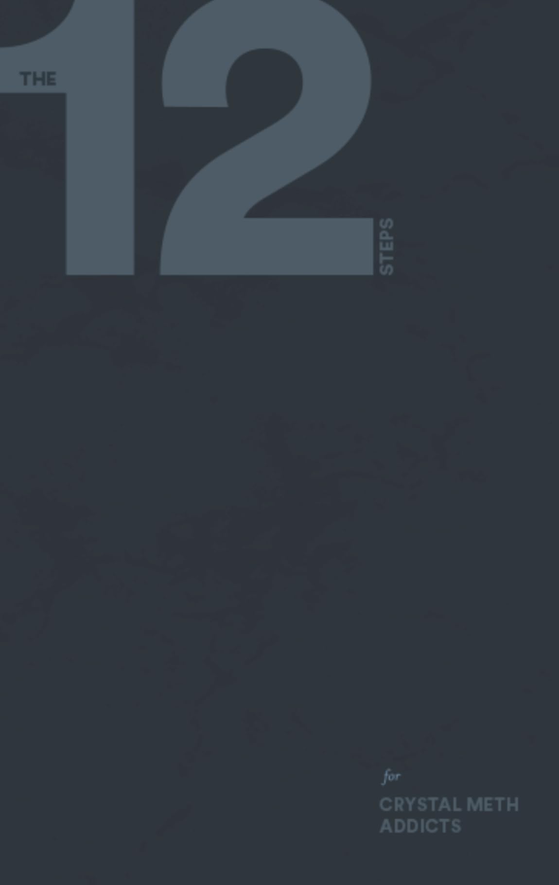 The Twelve Steps for Crystal Meth Addicts (Kindle Edition)