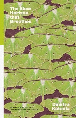 The Slow Horizon That Breathes (Paperback)