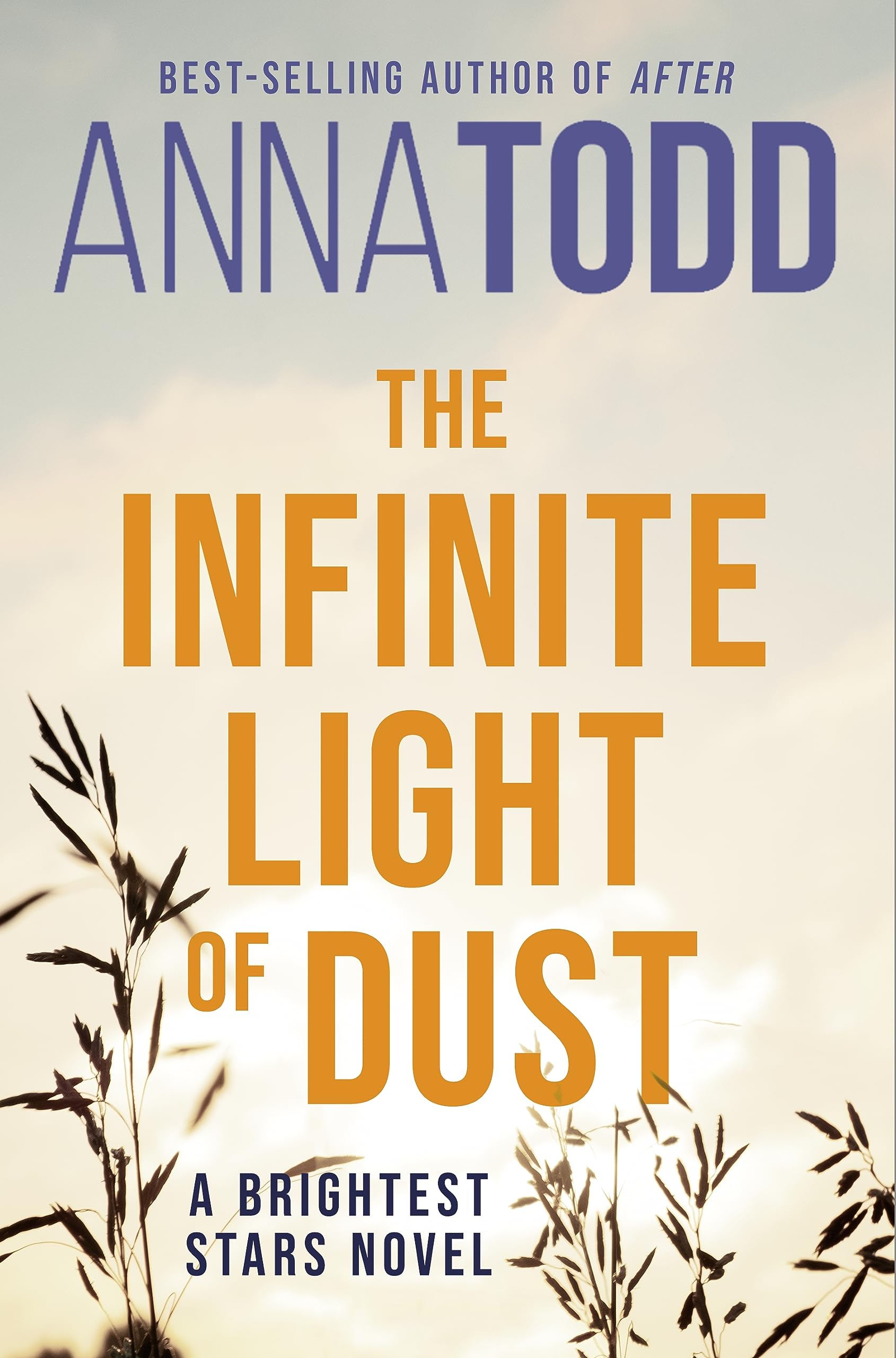 The Infinite Light of Dust (Brightest Stars, #3)