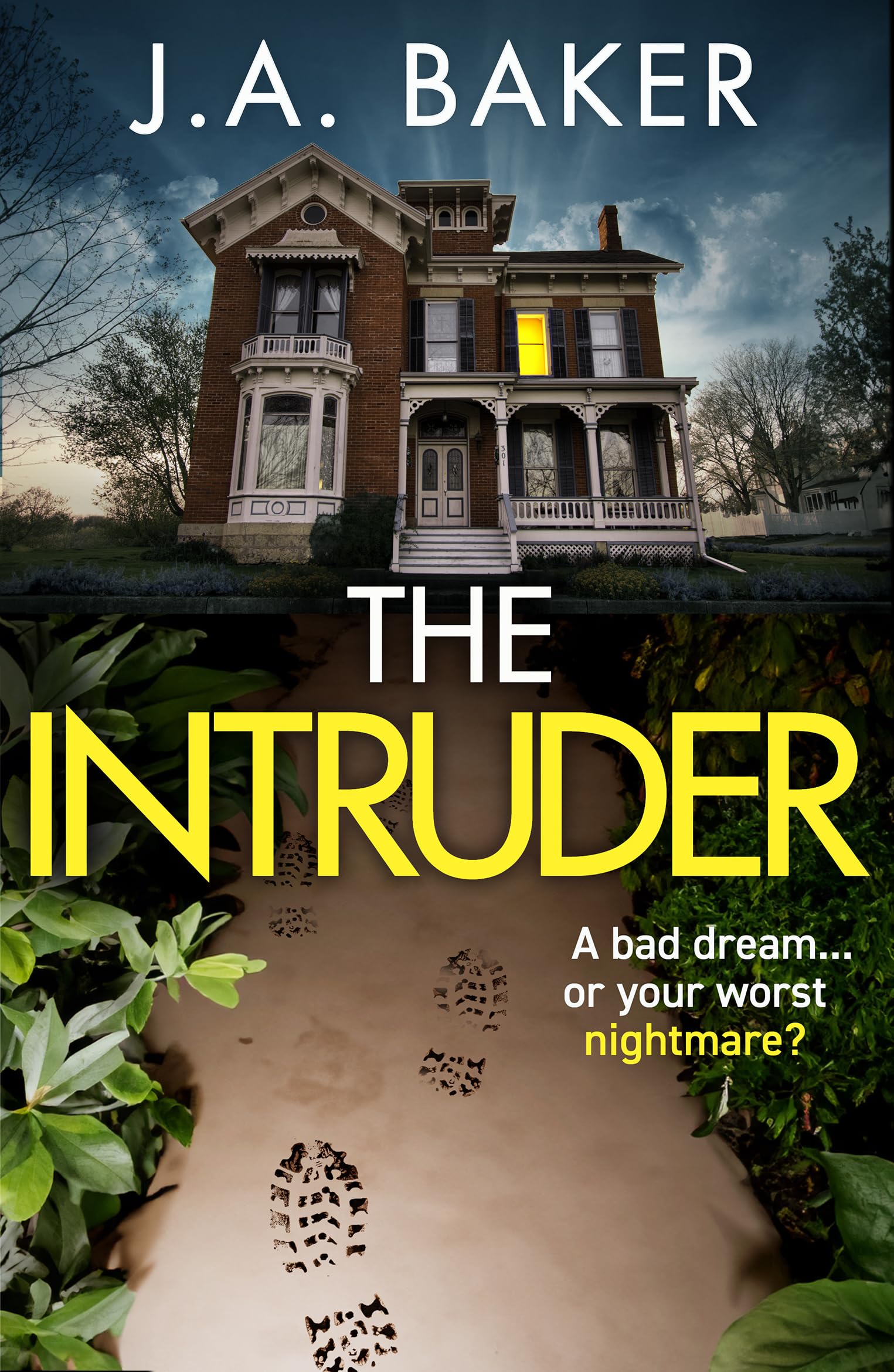 The Intruder (Kindle Edition)
