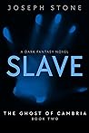 Book cover for Slave