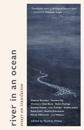 River in an Ocean: Essays on Translation (Paperback)
